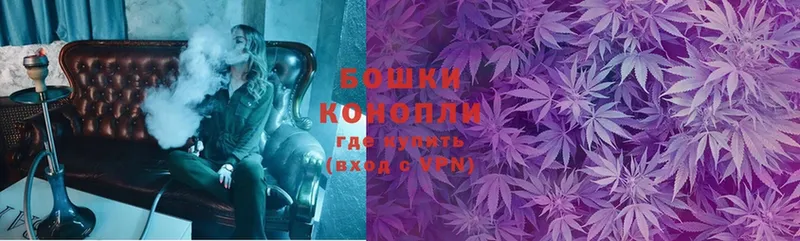 где найти   Мурино  Канабис THC 21% 